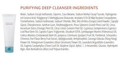 Luminovation Purifying Deep Cleanser